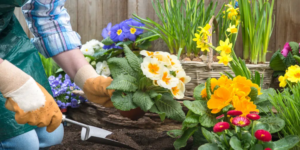 Service de jardinage Esprit de Famille à Lorient, Larmor-Plage et Ploemeur